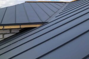 Eco-friendly metal roofing offering sustainable, energy-efficient protection for your home.