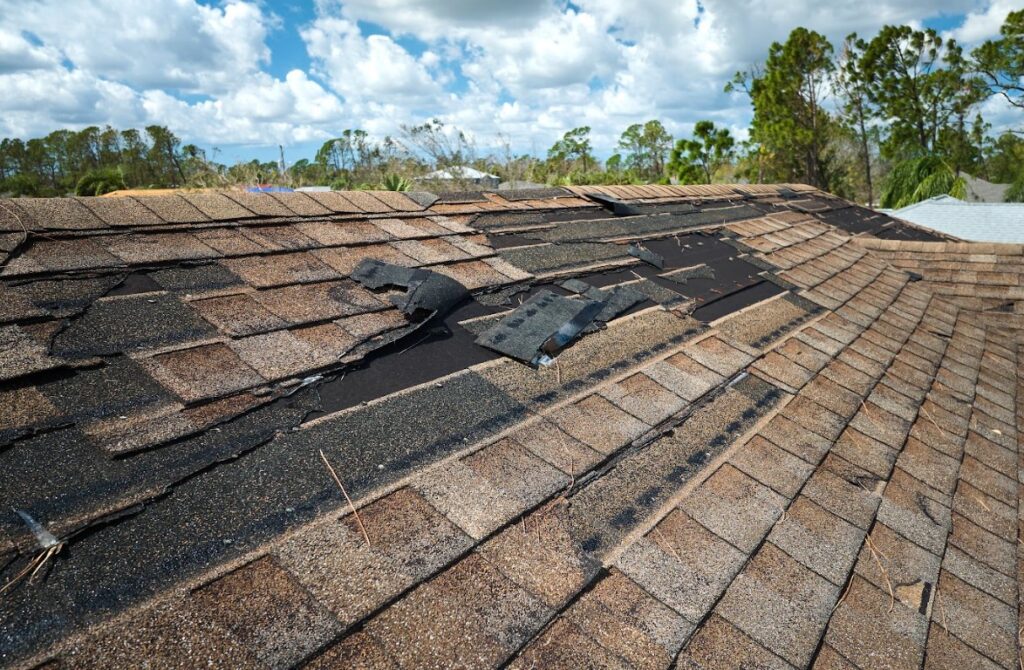 storm damage roof repair in Blackhorse, TX